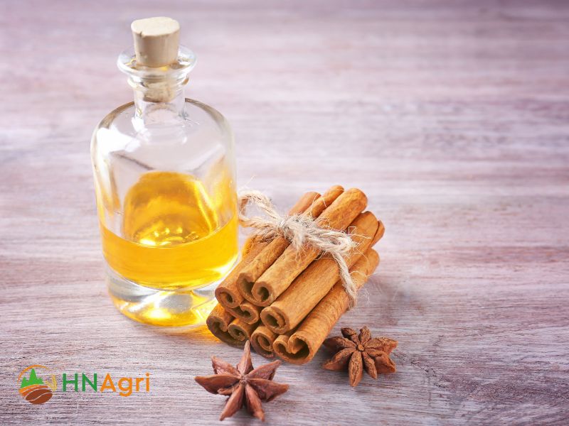 cinnamon-oil-bulk-for-wholesalers-premium-quality-and-cost-effective-1