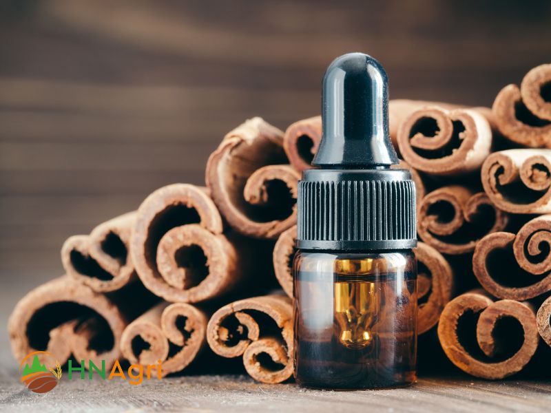 cinnamon-oil-bulk-for-wholesalers-premium-quality-and-cost-effective-2