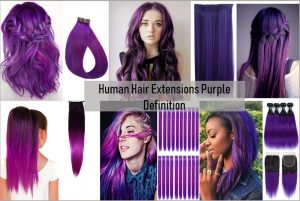 purple-human-hair-extensions-the-most-6-gorgeous-purple-hairstyles-2