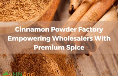 cinnamon-powder-factory-empowering-wholesalers-with-premium-spice