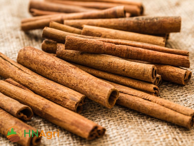 cinnamon-powder-factory-empowering-wholesalers-with-premium-spice-1