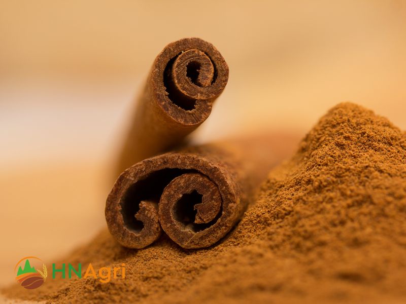 cinnamon-powder-factory-empowering-wholesalers-with-premium-spice-2