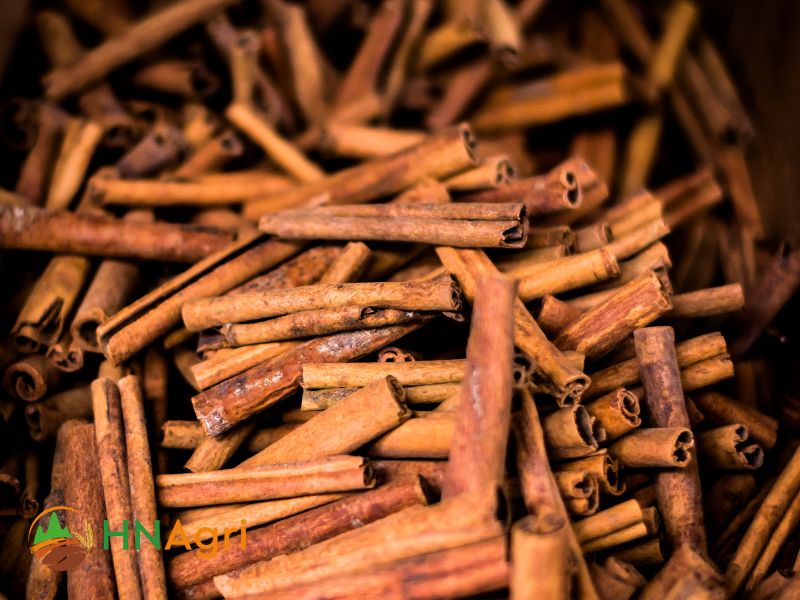 vietnamese-cinnamon-sticks-unveiling-the-secrets-of-this-prized-spice-2
