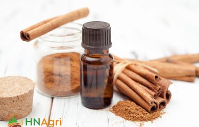 vietnamese-cinnamon-sticks-unveiling-the-secrets-of-this-prized-spice-3